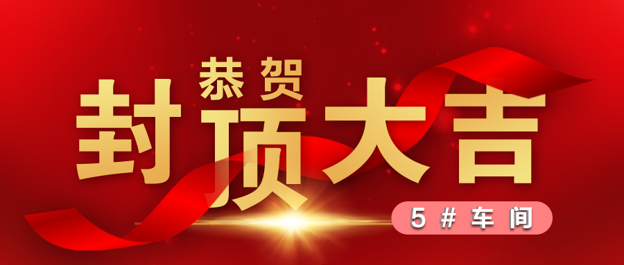 熱烈祝賀5#車間封頂大吉！